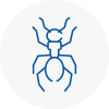 Ant Removals In Hoylake