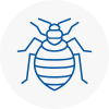 Bed Bug Extermination In Hoylake