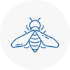 Bee Nest Removal Hoylake