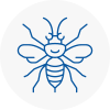 Hoylake Hornet Nest Removals