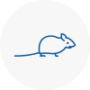 Mice Exterminators In Hoylake