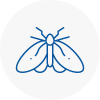 Moth Control Specialists In Hoylake