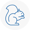 Hoylake Rodent Removals
