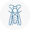 Hoylake Wasp Nest Removal